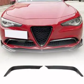 Fog Light Covers (for Base, Carbon) photo 1