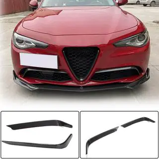 Fog Light Covers (for Base, Carbon) photo 2