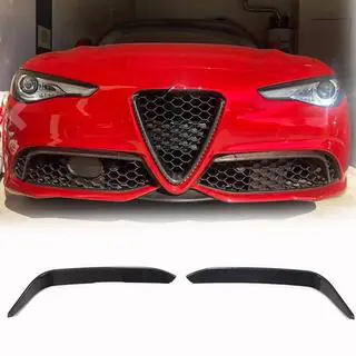 Fog Light Covers (for Sport, Carbon) photo 1