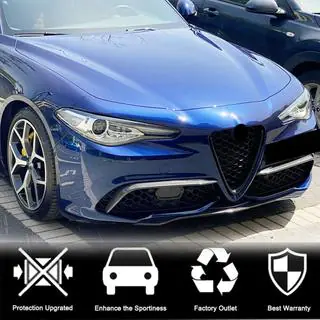 Fog Light Covers (for Sport, Carbon) photo 4