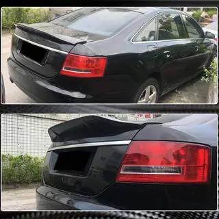Spoiler V1 (Carbon) photo 4