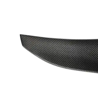 Spoiler V3 (Carbon) photo 2