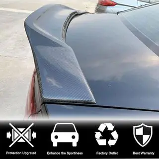 Spoiler V1 (Carbon) photo 2
