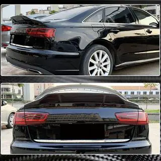 Spoiler V1 (Carbon) photo 3