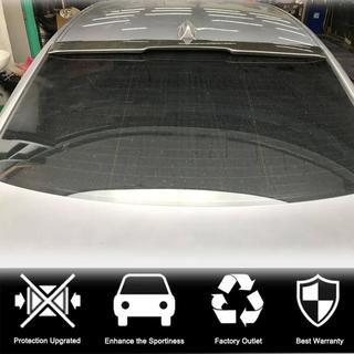 Rear Window Spoiler Visor (for SD, Carbon) photo 2
