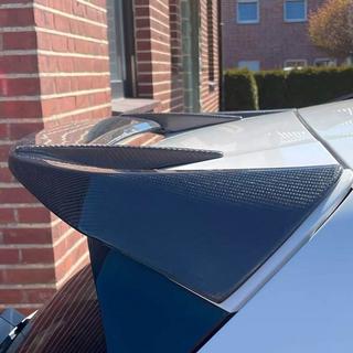 Spoiler V3 (Carbon) photo 4
