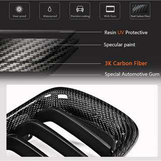 Grille Kidney 1 Bar (Carbon) photo 3