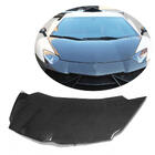 Lamborghini Aventador 2011-2022 Hood (Carbon) photo 1