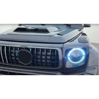 Radiator Grille Frame Carbon V1 photo 2