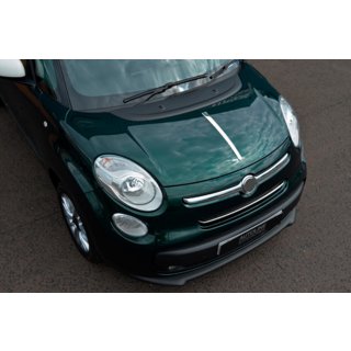 Hood strip (stainless steel) photo 2