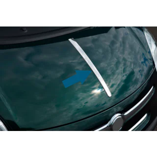 Hood strip (stainless steel) photo 1