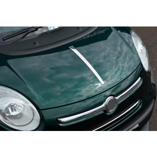 Hood strip (stainless steel) photo 3