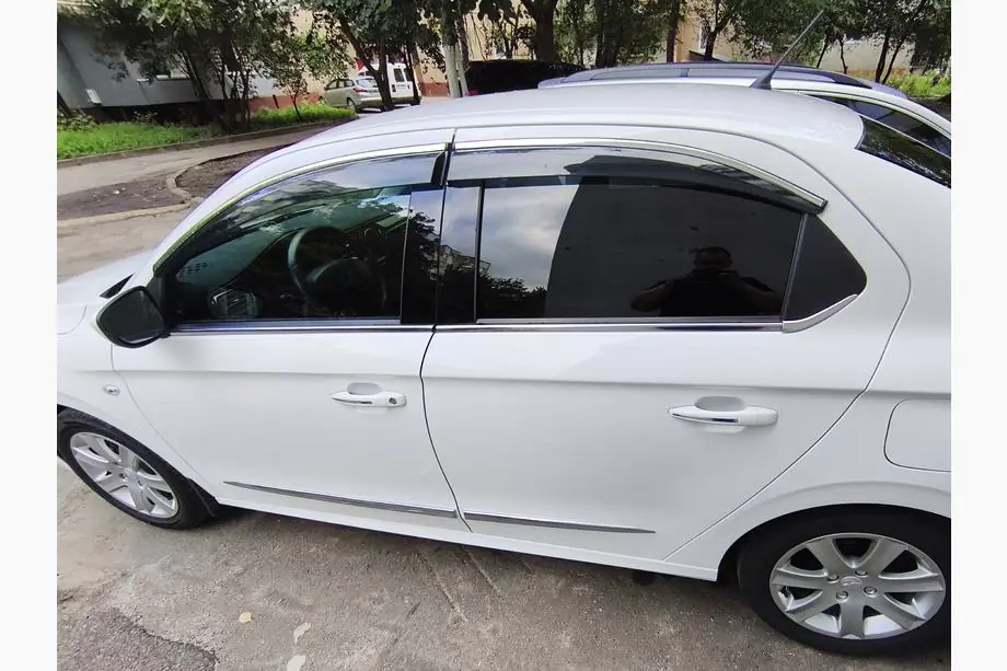 Citroen C-Elysee 2013-2022 Window Trim Stainless Steel Photo 3