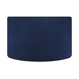 EVA Trunk Mat (2011-2016, Blue)