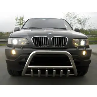 Bull Bar WT003 (Stainless Steel) photo 3