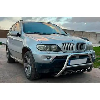 Bull Bar WT003 (Stainless Steel) photo 1