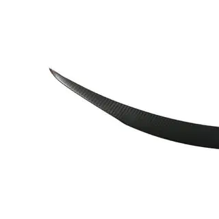 Spoiler V3 (2023+, Carbon) photo 3