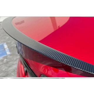 Spoiler V2 (Carbon) photo 1
