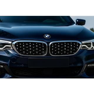 Diamond Silver V1 Grille Inserts (2017-2020, Chrome Trim) photo 1
