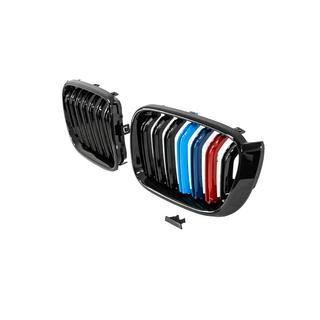 Kidney Grilles M-Look (M-Color) photo 4