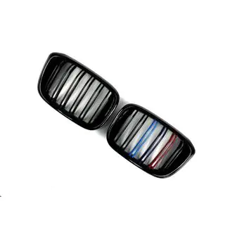 Kidneys M-Look (2018-2021, M-Color) photo 3