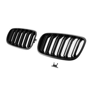 Kidneys M-Look (black matte) photo 4