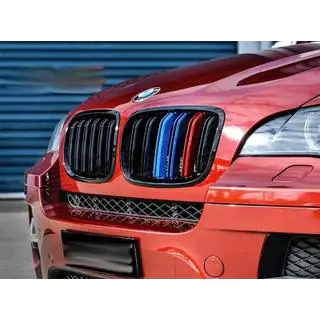 Kidney Grilles M-Look (M-Color) photo 3