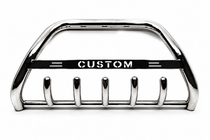 Ford Custom 2013-2022 Bull Bar WT004 (Stainless Steel) photo 2