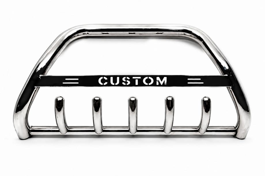 Ford Custom 2013-2022 Bull Bar WT004 (Stainless Steel) Photo 2