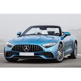 Front Grille GT Panamericana (for SL63, 2023+) photo 1
