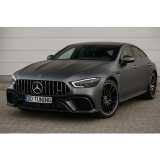 Front Grille GT Panamericana (2018-2022) Mercedes AMG GT 4 X290 2018- photo 1