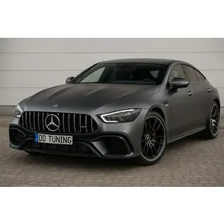 Front Grille GT Panamericana (2018-2022) photo 1