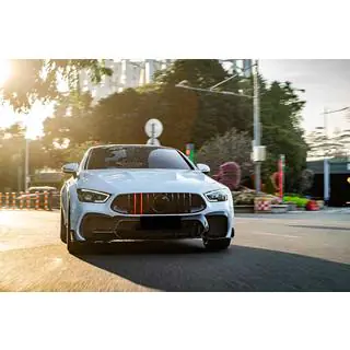 Front Grille GT Panamericana GT-R (2018-2022) photo 1