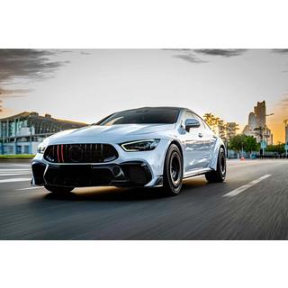 Front Grille GT Panamericana GT-R (2018-2022) Mercedes AMG GT 4 X290 2018- photo 3