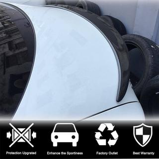 Spoiler V10 (SD, Carbon) photo 3