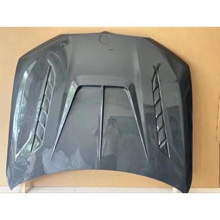 Hood (Carbon) photo 3