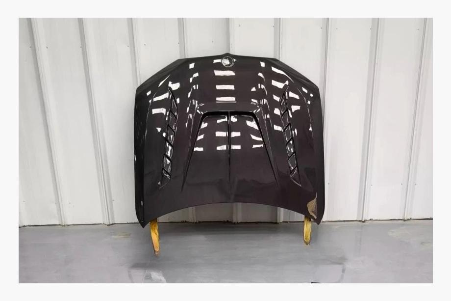 BMW X7 G07 2019- Hood (Carbon) Photo 5
