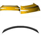Mercedes E-class coupe C238 2016-2024 Spoiler V4 (Carbon) photo 2