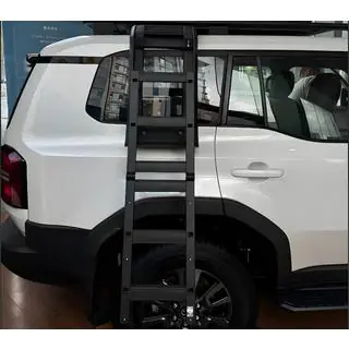 Side Ladder photo 1