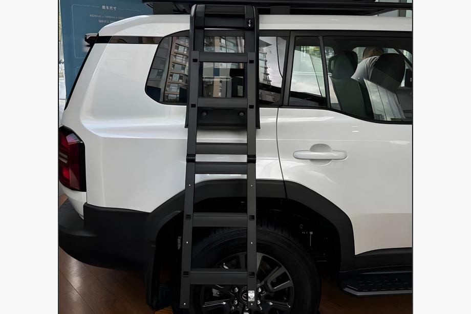 Toyota Land Cruiser Prado 250 2023- Side Ladder Photo 1