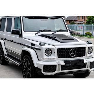 Hood Cover BRBS (2004-2018, Carbon) photo 2