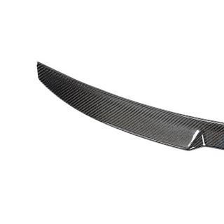 Spoiler V1 (for 2018-2020, Carbon) photo 3