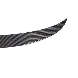 Spoiler V2 (Carbon) photo 3