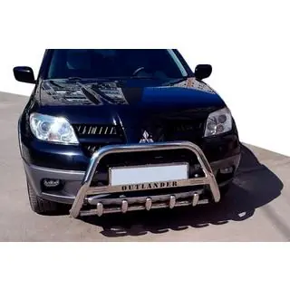 Bull Bar WT004 (Stainless Steel) photo 1