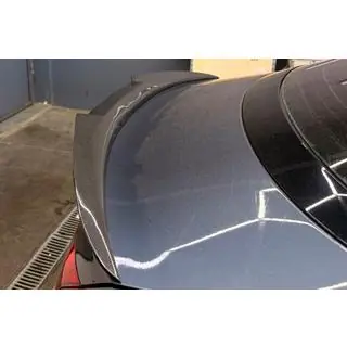 Spoiler (Carbon) photo 2