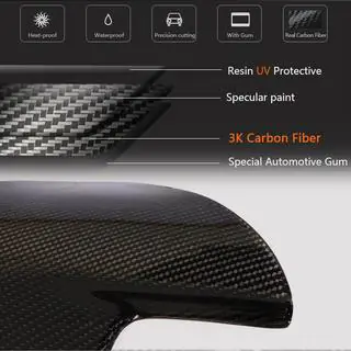 Spoiler (for 2016-2019, Carbon) photo 4