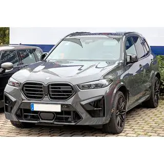 Style Grilles (For X5M F95, 2023+) photo 1