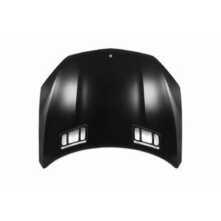 Aluminum Hood photo 1