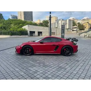 Side Skirts V3 (2016-2019, Carbon) photo 1