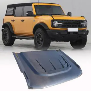 Hood (Carbon) photo 1